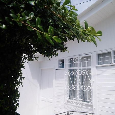 Bight View Hotel San Andres  Ngoại thất bức ảnh